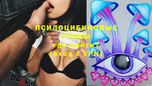винт Алексин