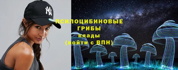 винт Алексин