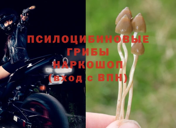 mdma Пестово