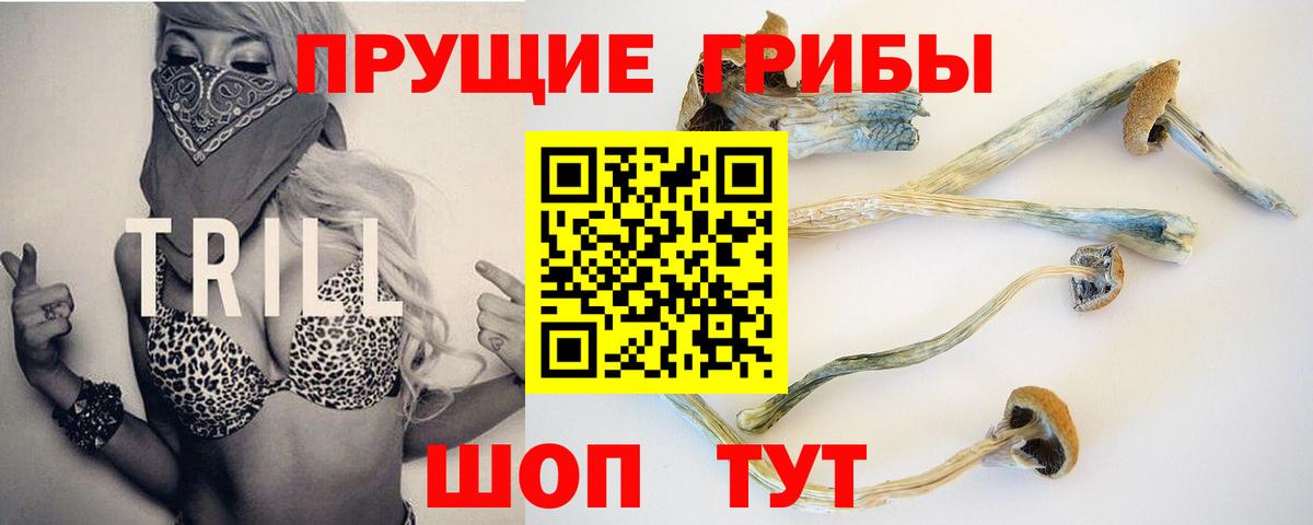 Псилоцибиновые грибы Cubensis  Вход с VPN  Псилоцибиновые грибы GOLDEN TEACHER  купить наркотик  Шахты 